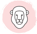 ASLAN