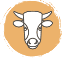 BOĞA