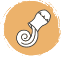 KOVA